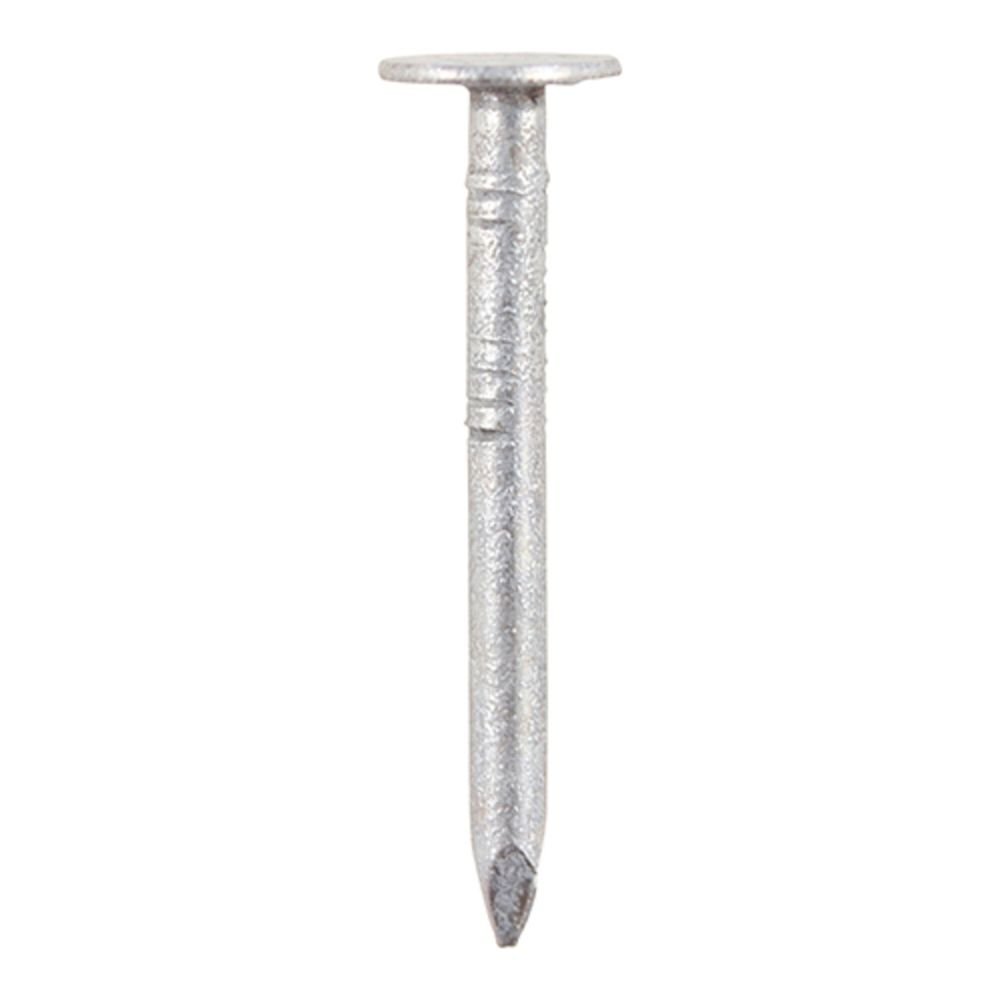 Galvanized Clout Nail 30mm 500GM Pack